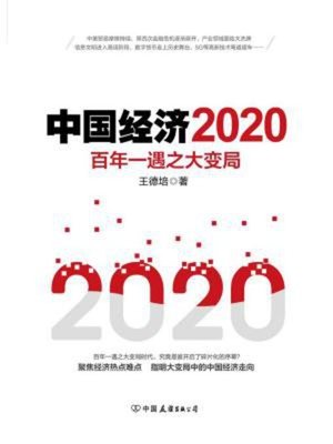 cover image of 中国经济2020